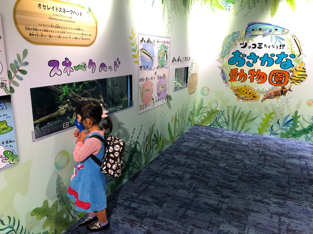 カワスイ　川崎水族館　かわちゃん　動物園　特別企画展示　子連れ　ファミリー