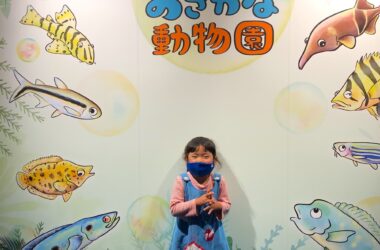 カワスイ　川崎水族館　かわちゃん　動物園　特別企画展示　子連れ　ファミリー