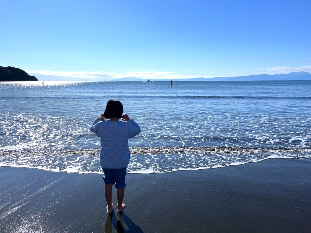 新江ノ島水族館　えのすい　水族館　江ノ島　藤沢　子連れ　子連れのお出かけ　子連れ旅　子連れイベント　知育　旅育　ウミガメ　海　ビーチ