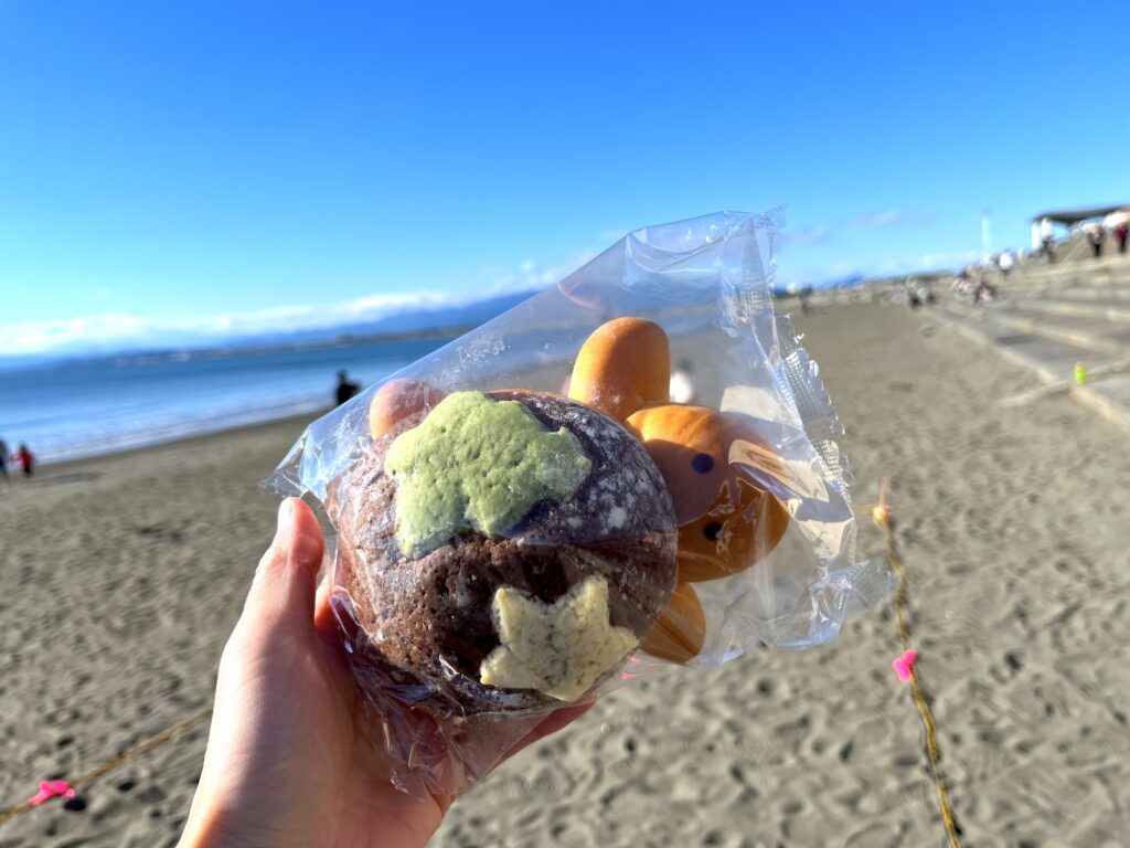 新江ノ島水族館　えのすい　水族館　江ノ島　藤沢　子連れ　子連れのお出かけ　子連れ旅　子連れイベント　知育　旅育　ビーチ　海　メロンパン　カメロンパン　限定